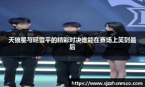 BSports网页版