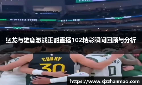 猛龙与雄鹿激战正酣直播102精彩瞬间回顾与分析