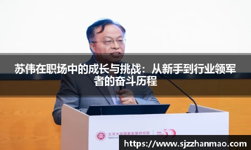苏伟在职场中的成长与挑战：从新手到行业领军者的奋斗历程